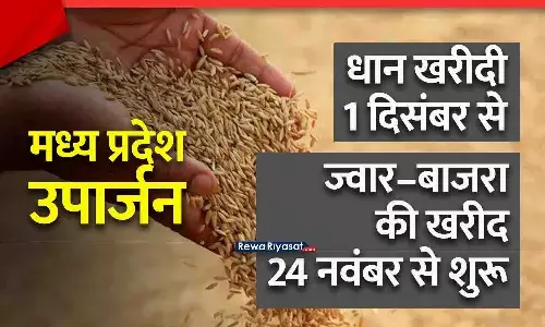 MP उपार्जन: सरकार ने MSP शेड्यूल जारी किया, धान खरीदी 1 दिसंबर से; ज्वार–बाजरा की खरीद 24 नवंबर से शुरू