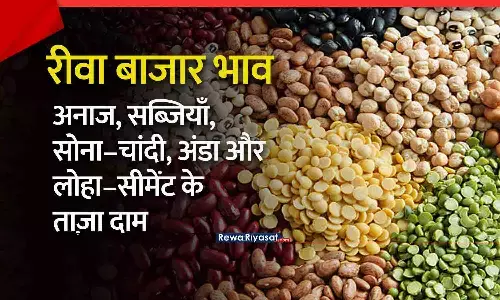 रीवा बाजार भाव 2025: अनाज, सब्जियाँ, सोना–चांदी, अंडा रेट और लोहा–सीमेंट के आज 19 नवंबर के ताज़ा दाम जारी रीवा बाजार भाव 2025: अनाज, सब्जियाँ, सोना–चांदी, अंडा रेट और लोहा–सीमेंट के आज 19 नवंबर के ताज़ा दाम जारी