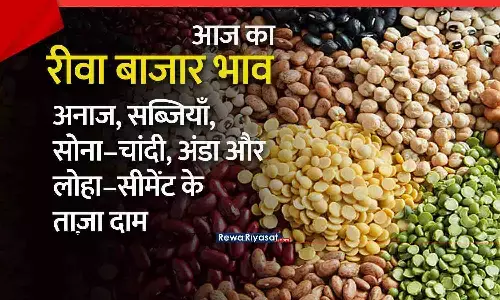 आज का रीवा बाजार भाव 2025: अनाज, सब्जियां, चावल, सरिया, सीमेंट, दूध-दही और सोने-चांदी के ताज़ा दाम | 20 नवंबर 2025