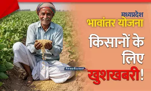 MP Bhavantar Yojana 2025: सोयाबीन मॉडल रेट लगातार बढ़ा, किसानों को बड़ी राहत — जानें ताज़ा दरें
