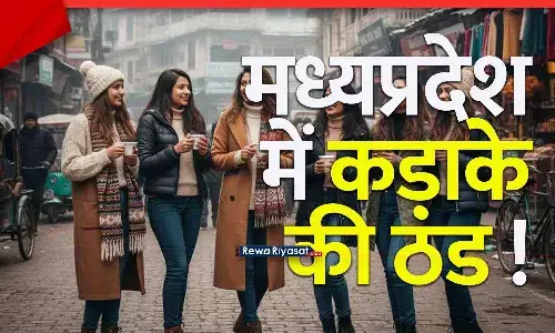 MP Weather News: मध्यप्रदेश में कड़ाके की ठंड! आज इन जिलों में शीतलहर का अलर्ट; भोपाल में 7.8°, इंदौर 6.9°, 84 साल का रिकॉर्ड टूटा