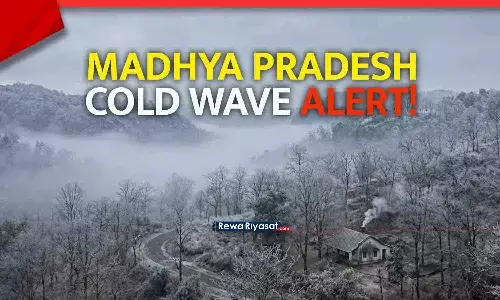 MP Weather News: पचमढ़ी में 5.8 डिग्री, भोपाल–इंदौर 10° से नीचे; 84 साल का रिकॉर्ड टूटा; कई जिलों में शीतलहर अलर्ट जारी