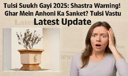 Tulsi Suukh Gayi 2025
