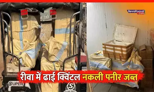 रीवा में नकली पनीर का भंडार: शादी सीजन में प्रयागराज से आया ढाई क्विंटल एनालॉग पनीर जब्त, दुकान सील