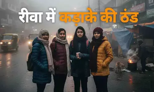 रीवा में कड़ाके की ठंड बढ़ी, गलन से लोग परेशान; आने वाले दिनों में कोहरा बढ़ने के आसार