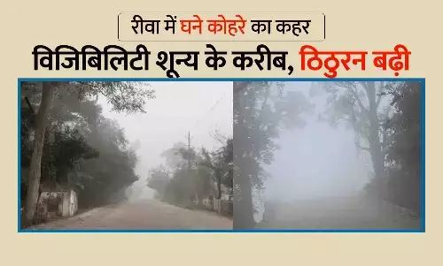 रीवा में घनी धुंध का कहर: विजिबिलिटी शून्य के करीब, ठंड ने बढ़ाई मुश्किलें रीवा में घनी धुंध का कहर: विजिबिलिटी शून्य के करीब, ठंड ने बढ़ाई मुश्किलें