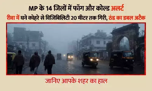 MP के 14 जिलों में फॉग और कोल्ड अलर्ट: रीवा में घने कोहरे से विजिबिलिटी 20 मीटर तक गिरी, ठंड का डबल अटैक; जानिए आपके शहर का हाल MP के 14 जिलों में फॉग और कोल्ड अलर्ट: रीवा में घने कोहरे से विजिबिलिटी 20 मीटर तक गिरी, ठंड का डबल अटैक; जानिए आपके शहर का हाल