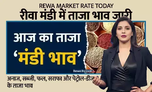 Rewa Market Rate Today: रीवा मंडी में अनाज, सब्जी, फल, सराफा और पेट्रोल-डीजल के ताजा भाव जारी