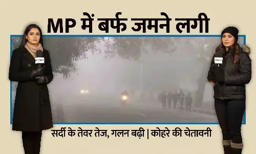 MP में कांपता नया साल: रीवा–जबलपुर में रिकॉर्ड ठंड, शहडोल में तापमान 1.7 डिग्री...बर्फ जम गई; कोहरा और शीतलहर से बिगड़े हालात