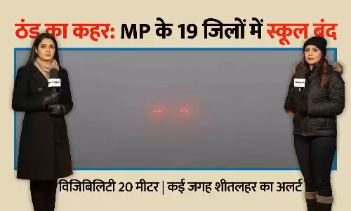 MP में कोहरे का कहर: विजिबिलिटी 20 मीटर, 19 जिलों में स्कूल बंद — कई जगह शीतलहर का अलर्ट