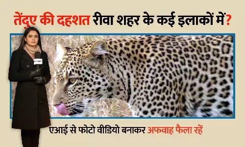 Leopard Alert in Rewa: देखा किसी ने नहीं, पर तेंदुए की दहशत शहर के कई इलाकों में — वन विभाग सर्च में, लोगों में दहशत