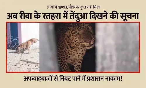 रीवा के रतहरा में तेंदुआ दिखने की सूचना — लोगों में दहशत, मौके पर कुछ नहीं मिला रीवा के रतहरा में तेंदुआ दिखने की सूचना — लोगों में दहशत, मौके पर कुछ नहीं मिला
