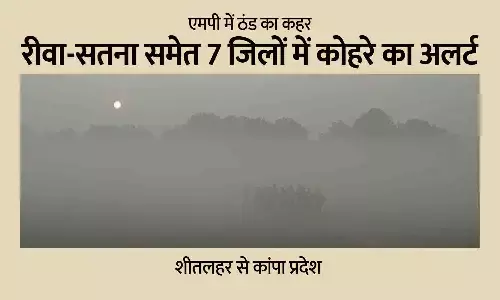 एमपी में ठंड का कहर: रीवा-सतना समेत 7 जिलों में कोहरे का अलर्ट, शीतलहर से कांपा प्रदेश