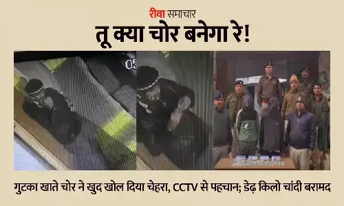 तू क्या चोर बनेगा रे! गुटका खाते चोर ने खुद खोल दिया चेहरा, CCTV से पहचान; रीवा में डेढ़ किलो चांदी बरामद तू क्या चोर बनेगा रे! गुटका खाते चोर ने खुद खोल दिया चेहरा, CCTV से पहचान; रीवा में डेढ़ किलो चांदी बरामद