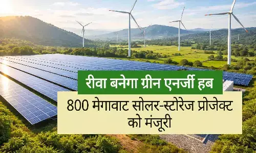 रीवा बनेगा ग्रीन एनर्जी हब: मध्यप्रदेश में 800 मेगावाट सोलर-स्टोरेज प्रोजेक्ट को मंजूरी