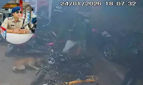 रीवा में बेजुबान पर बर्बरता: कुत्ते को लातों से पीट-पीटकर मार डाला, सीसीटीवी फुटेज के बाद अमहिया थाना प्रभारी शिवा अग्रवाल ने लिया एक्शन