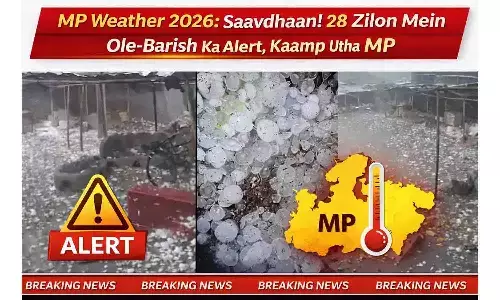 MP Weather 2026: सावधान! 28 जिलों में ओले-बारिश का अलर्ट, कांप उठा MP MP Weather 2026: सावधान! 28 जिलों में ओले-बारिश का अलर्ट, कांप उठा MP
