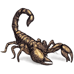 Vrishchik Rashifal Today