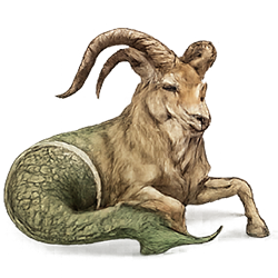 Makar Rashifal Today