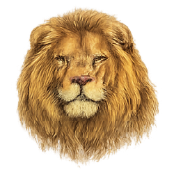 Singh Rashifal Today