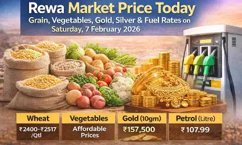 रीवा बाजार भाव आज: अनाज, सब्जी, सोना-चांदी और पेट्रोल-डीजल के ताजा रेट | 7 फरवरी 2026 रीवा बाजार भाव आज: अनाज, सब्जी, सोना-चांदी और पेट्रोल-डीजल के ताजा रेट | 7 फरवरी 2026