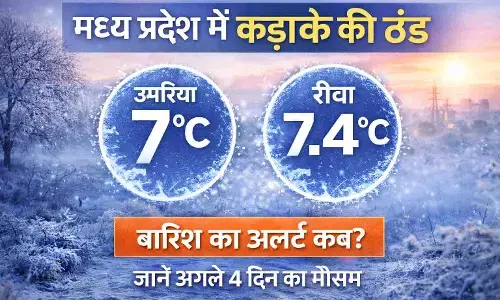मध्य प्रदेश में कड़ाके की ठंड: उमरिया 7°C, रीवा 7.4°C | जानें अगले 4 दिन का मौसम