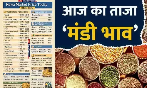 Rewa Market Price Today | 8 फरवरी 2026: कृषि उपज, सब्जी, सराफा और ईंधन के ताजा रेट Rewa Market Price Today | 8 फरवरी 2026: कृषि उपज, सब्जी, सराफा और ईंधन के ताजा रेट
