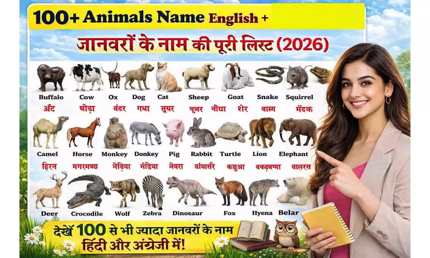 100+ Animal Names in Hindi and English 100+ Animal Names in Hindi and English