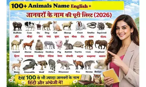 100+ Animal Names in Hindi and English