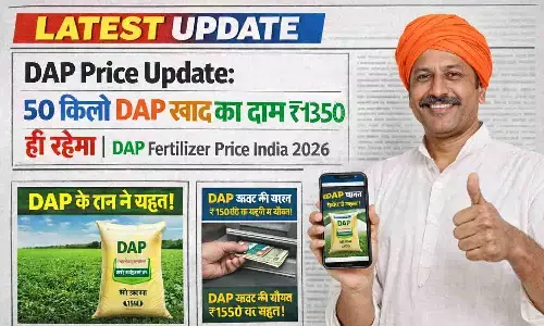 DAP Price Update: 50 किलो DAP खाद का दाम ₹1350 ही रहेगा | DAP Fertilizer Price India 2026 DAP Price Update: 50 किलो DAP खाद का दाम ₹1350 ही रहेगा | DAP Fertilizer Price India 2026