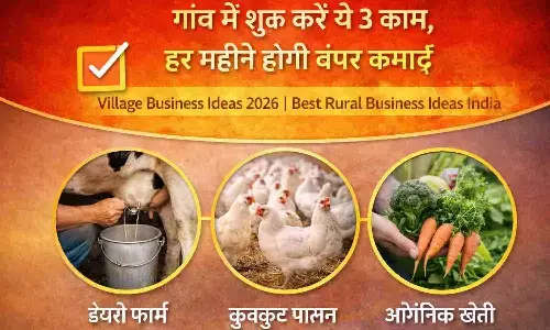 Village Business Ideas 2026: गांव में शुरू करें ये 3 काम, हर महीने होगी बंपर कमाई | Best Rural Business Ideas India