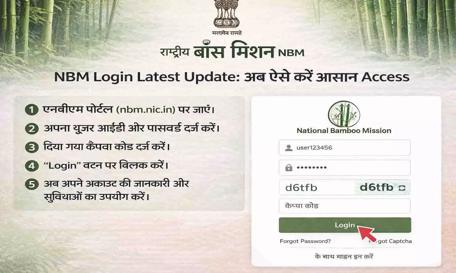 NBM Login Latest Update: अब ऐसे करें आसान Access NBM Login Latest Update: अब ऐसे करें आसान Access