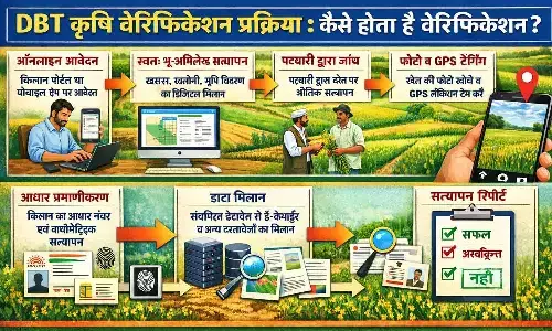DBT Agriculture Verification Process: कैसे होता है वेरिफिकेशन