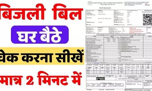 Bijli Ka Bill Kaise Check Karen PDF Download के साथ