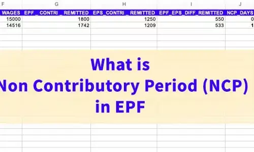 EPFO NCP Days Meaning: पीएफ में NCP डेज क्या हैं और सैलरी पर क्या असर पड़ता है?