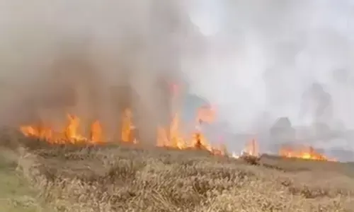 रीवा: त्यौंथर के अमिलिया में भीषण आग, 40 बीघा गेहूं की फसल जलकर राख रीवा: त्यौंथर के अमिलिया में भीषण आग, 40 बीघा गेहूं की फसल जलकर राख