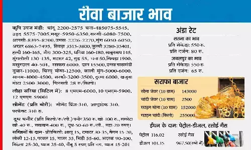 रीवा बाजार भाव 13 जून 2026: मंडी, सराफा, सब्जी, अंडा और पेट्रोल-डीजल के ताजा दाम | Rewa Mandi Bhav 13 June 2026
