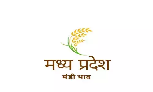 मध्य प्रदेश मंडी भाव आज 26 अगस्त 2026: जौ, लहसुन, कपास, प्याज समेत ताजा भाव देखें मध्य प्रदेश मंडी भाव आज 26 अगस्त 2026: जौ, लहसुन, कपास, प्याज समेत ताजा भाव देखें