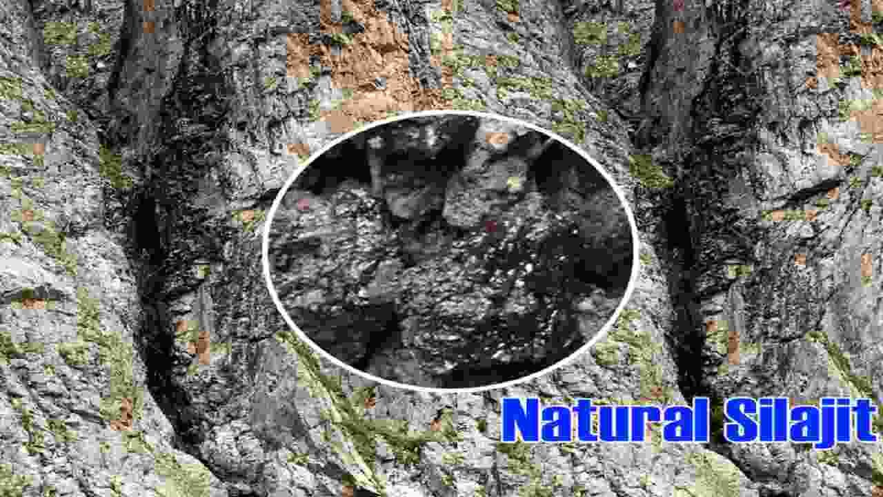 शिलाजीत सिर्फ उस काम में नहीं आता जिसके बारे में आप सोच रहे हैं, जाने कैसे बनती है ये औषधि शिलाजीत सिर्फ उस काम में नहीं आता जिसके बारे में आप सोच रहे हैं, जाने कैसे बनती है ये औषधि