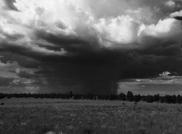 REWA, SHAHDOL, SHIVNI, MANDLA, BALAGHAT, VIDISHA, सहित 9 जिलों में होने वाली है भारी बारिश, जल्दी पढ़े