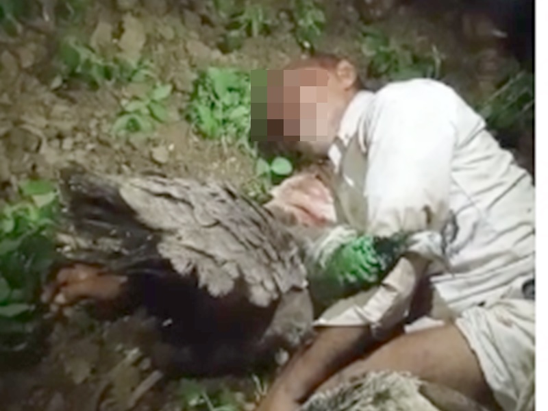 नहीं थम रहीं MOB LYNCHING की घटनाएं, अब MP में मोर चोरी के आरोप में बुजुर्ग की पीट-पीटकर हत्या