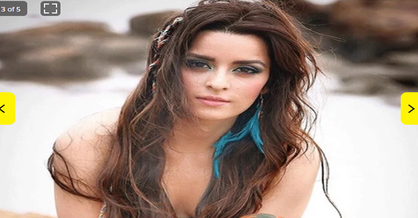 आर्टिकल 370 हटते ही खुश हुई ये कश्मीरी एक्ट्रेस, बोलीं- आर्टिकल 370 हटते ही खुश हुई ये कश्मीरी एक्ट्रेस, बोलीं-