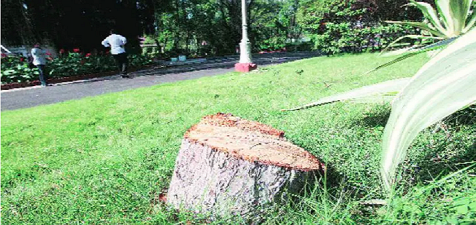 रीवा : जिला जज बंगले में बड़ी वारदात, गार्ड को गन पॉइंट पर लेकर काट ले गए....