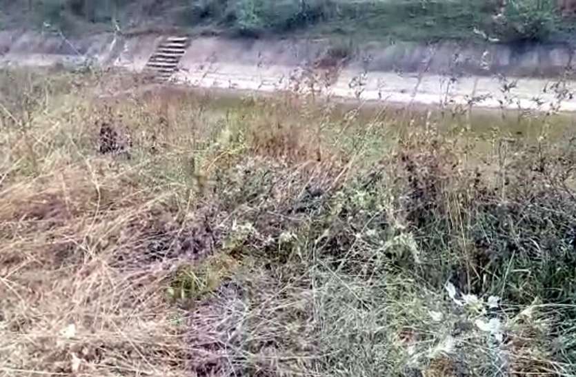 लगातार हत्याओं से काँपा रीवा, फिर नहर किनारे मिली युवक की लाश, हत्या कर क्षत-विक्षत किया शव