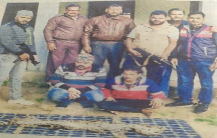 तेंदुए की खाल के साथ रीवा के युवक गिरफ्तार, एसटीएफ ने जाँच वन विभाग को सौपी तेंदुए की खाल के साथ रीवा के युवक गिरफ्तार, एसटीएफ ने जाँच वन विभाग को सौपी