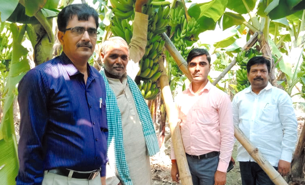 केले की खेती करके रीवा का ये किसान हुआ मालामाल