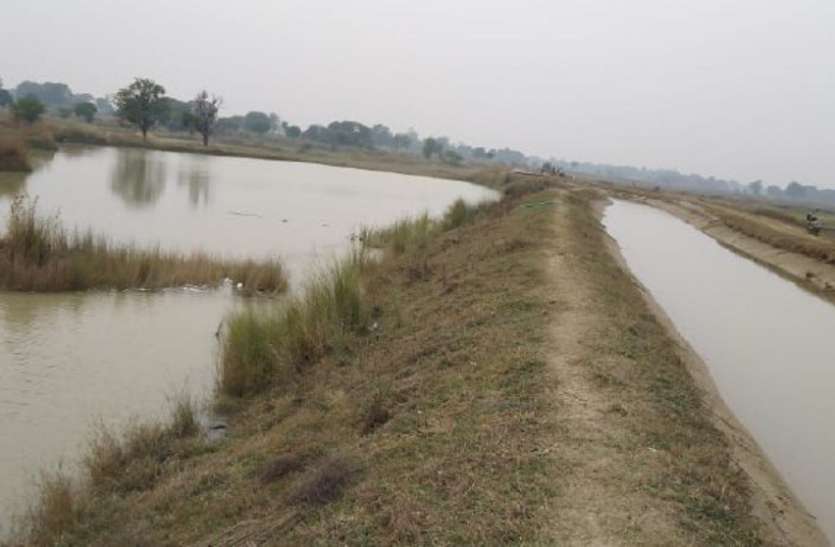 रीवा: पानी छोड़ने के बाद 10 दिन भी नहीं टिक सकी क्योंटी कैनाल, नहर फूटने से सैकड़ों एकड़ की फसल हुई बर्बाद रीवा: पानी छोड़ने के बाद 10 दिन भी नहीं टिक सकी क्योंटी कैनाल, नहर फूटने से सैकड़ों एकड़ की फसल हुई बर्बाद