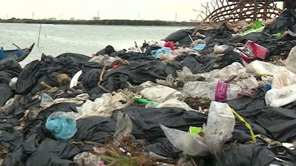 रीवा : कचरे के ढेर में मिला इंसान का कटा पैर, पुलिस के होश उड़े, जानिए क्या है मामला रीवा : कचरे के ढेर में मिला इंसान का कटा पैर, पुलिस के होश उड़े, जानिए क्या है मामला