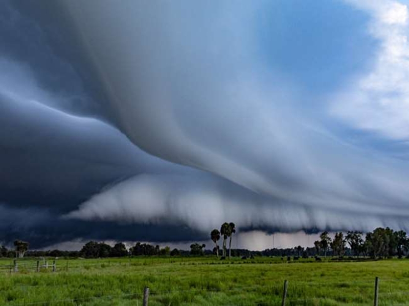 MP Weather Update : बदल सकता है मौसम, मध्यप्रदेश के इन संभागों में बारिश की संभावना MP Weather Update : बदल सकता है मौसम, मध्यप्रदेश के इन संभागों में बारिश की संभावना
