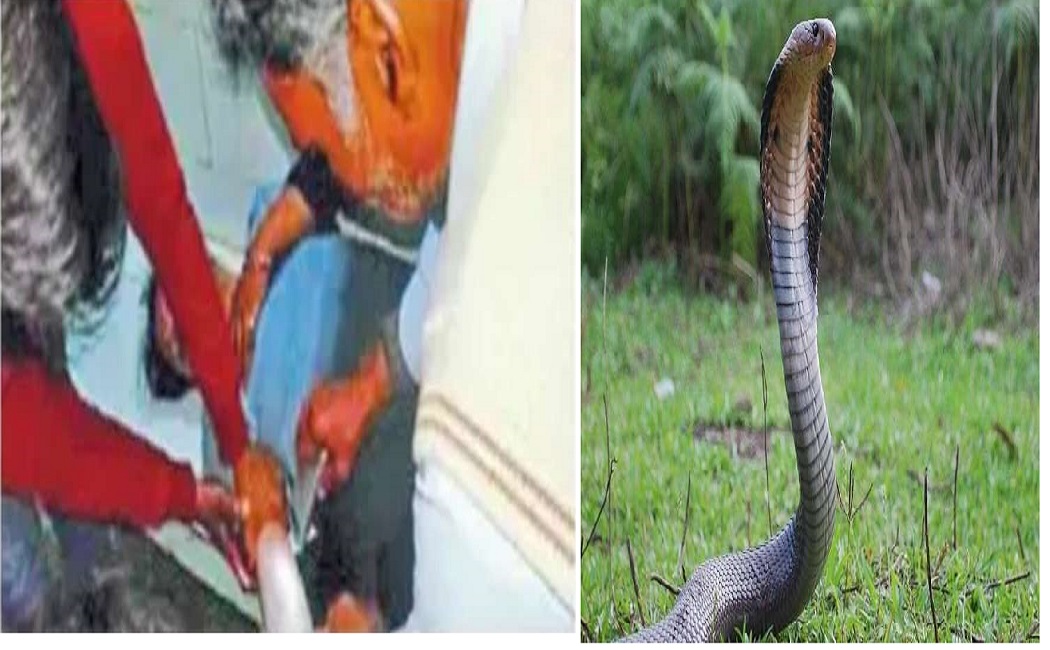 REWA की इस युवती को 8 बार काँटा सांप, रहस्य बन गई यह घटना, हर वक़्त दी मौत को मात